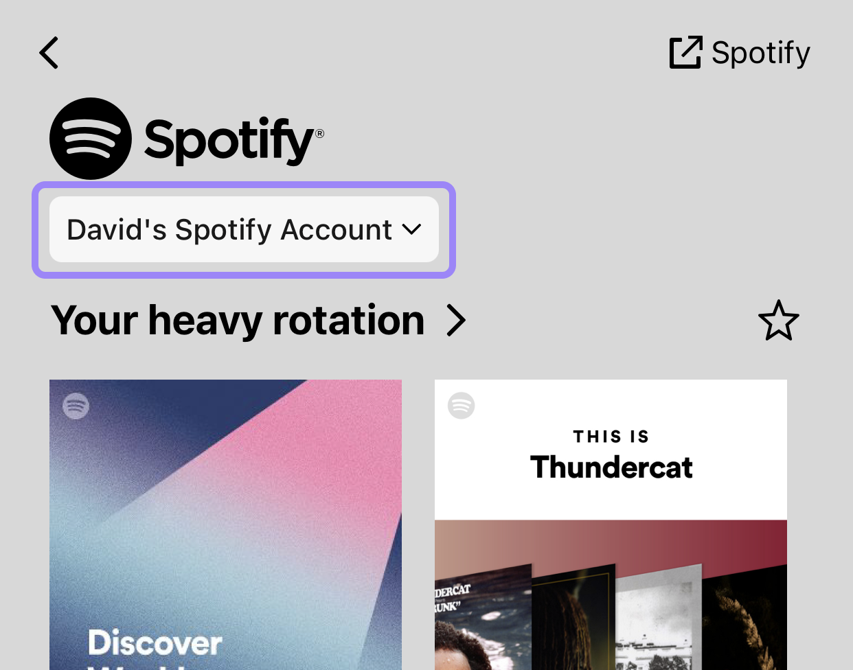 A screenshot illustrating the location of the account switch on Spotify